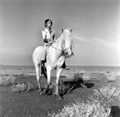 Crin blanc: Le cheval sauvage