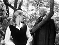 Smultronstallet/Wild Strawberries