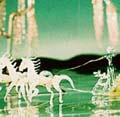 水玉の幻想